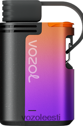 VOZOL GEAR 4000c/6000 metsa marjatorm - Vozol Vape Buy R20L2N324