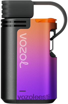 VOZOL GEAR 4000c/6000 viinamarja jää - Vozol Vape Europe R20L2N325