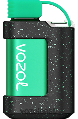 VOZOL GEAR 7000 arbuusi jää - Vozol Vape Buy R20L2N344