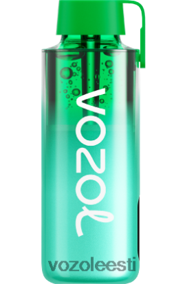 VOZOL NEON 10 000 miami piparmünt - Vozol Vape Review R20L2N229