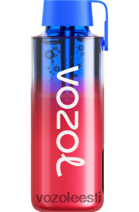 VOZOL NEON 10 000 mustikajää - Vozol Vape Eesti R20L2N243