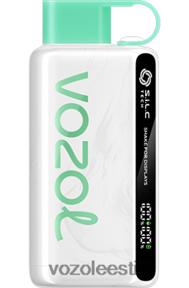 VOZOL STAR 9000/12000 arbuusi närimiskumm - Vozol Vape Buy R20L2N34
