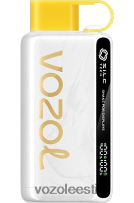 VOZOL STAR 9000/12000 kiivi kannatuspuu guajaav - Vozol Vape Europe R20L2N25