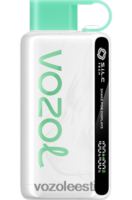 VOZOL STAR 9000/12000 lahe piparmünt - Vozol Vape Eesti R20L2N23