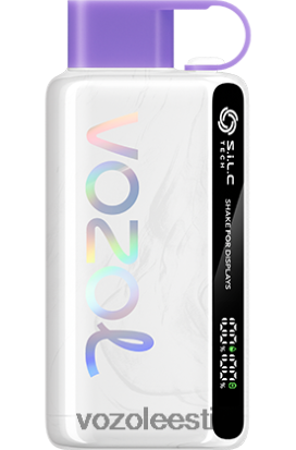 VOZOL STAR 9000/12000 viinamarja jää - Vozol Vape Buy R20L2N24