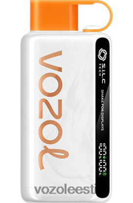 VOZOL STAR 9000/12000 virsiku mango arbuus - Vozol Vape Sale R20L2N28