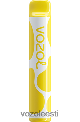 VOZOL JOYGO 600 banaani jää - Vozol Vape Refill R20L2N376