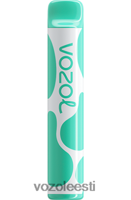 VOZOL JOYGO 600 mentool - Vozol Vape Flavors R20L2N387