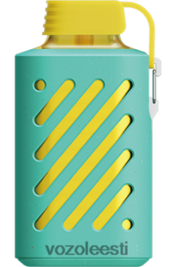 VOZOL GEAR 10 000 miami piparmünt - Vozol Vape Sale R20L2N298