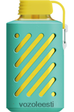 VOZOL GEAR 10 000 vaarikas arbuus - Vozol Vape Refill R20L2N306