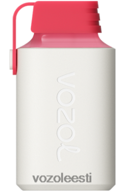 VOZOL GEAR 600 maasikajäätis - Vozol Vape Flavors R20L2N357