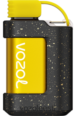 VOZOL GEAR 7000 virsiku jää - Vozol Vape Flavors R20L2N337