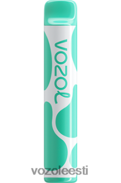 VOZOL JOYGO 600 mentool - Vozol Vape Flavors R20L2N387
