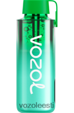 VOZOL NEON 10 000 miami piparmünt - Vozol Vape Review R20L2N229