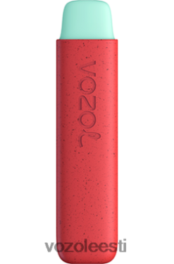 VOZOL STAR 550 õuna virsik - Vozol Vape Sale R20L2N138