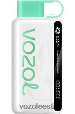 VOZOL STAR 9000/12000 arbuusi närimiskumm - Vozol Vape Buy R20L2N34