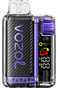 VOZOL VISTA 16000/20000 viinamarja jää - Vozol Vape Europe R20L2N5